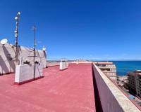 Alquiler a largo plazo - Apartamento - Torrevieja - Cabo cervera