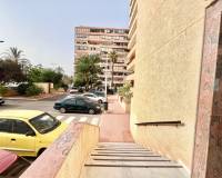 Alquiler a largo plazo - Apartamento - Torrevieja - Cabo cervera