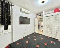 Alquiler a largo plazo - Apartamento - Torrevieja - Cabo cervera
