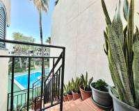 Alquiler a largo plazo - Apartamento - Torrevieja - Cabo cervera