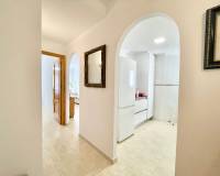 Alquiler a largo plazo - Apartamento - Torrevieja - Centro