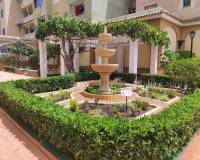 Alquiler a largo plazo - Apartamento - Torrevieja - Centro