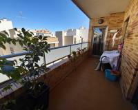 Alquiler a largo plazo - Apartamento - Torrevieja - Centro