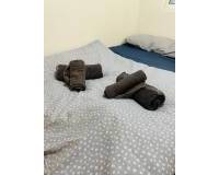 Alquiler a largo plazo - Apartamento - Torrevieja - Curva del Palangre