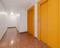 Alquiler a largo plazo - Apartamento - Torrevieja - El Acequión - Los Náufragos