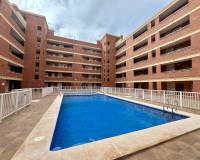 Alquiler a largo plazo - Apartamento - Torrevieja - El Acequión - Los Náufragos