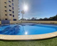 Alquiler a largo plazo - Apartamento - Torrevieja - La veleta