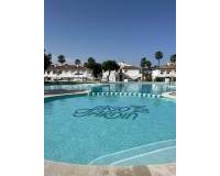 Alquiler a largo plazo - Apartamento - Torrevieja - Los altos