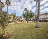 Alquiler a largo plazo - Apartamento - Torrevieja - Los balcones