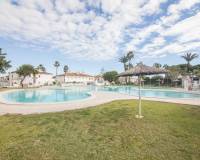 Alquiler a largo plazo - Apartamento - Torrevieja - Los balcones