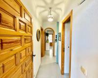 Alquiler a largo plazo - Apartamento - Torrevieja - Los Frutales