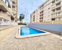Alquiler a largo plazo - Apartamento - Torrevieja - Nueva Torrevieja - Aguas Nuevas