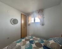 Alquiler a largo plazo - Apartamento - Torrevieja - Nueva Torrevieja