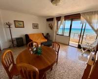 Alquiler a largo plazo - Apartamento - Torrevieja - Playa de los Locos