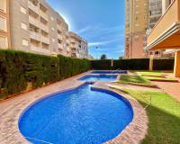 Alquiler a largo plazo - Apartamento - Torrevieja - Playa de los Locos