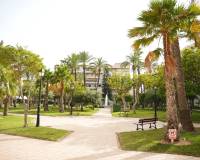 Alquiler a largo plazo - Apartamento - Torrevieja - Playa de los Locos