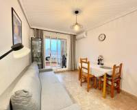 Alquiler a largo plazo - Apartamento - Torrevieja - Playa de los Locos