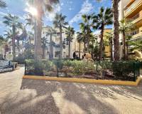 Alquiler a largo plazo - Apartamento - Torrevieja - Playa de los Locos