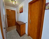 Alquiler a largo plazo - Apartamento - Torrevieja - Playa de los Locos