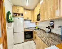 Alquiler a largo plazo - Apartamento - Torrevieja - Playa del cura