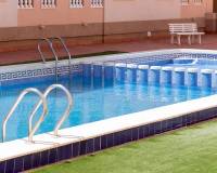 Alquiler a largo plazo - Apartamento - Torrevieja - Playa del Cura