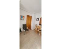 Alquiler a largo plazo - Apartamento - Torrevieja - Playa del Cura