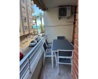 Alquiler a largo plazo - Apartamento - Torrevieja - Playa del Cura