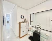 Alquiler a largo plazo - Apartamento - Torrevieja - Playa del Cura