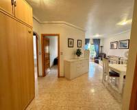 Alquiler a largo plazo - Apartamento - Torrevieja - Playa del Cura