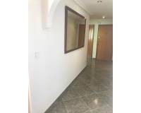 Alquiler a largo plazo - Apartamento - Torrevieja - Playa del Cura