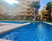 Alquiler a largo plazo - Apartamento - Torrevieja - Punta prima
