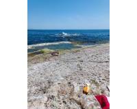 Alquiler a largo plazo - Apartamento - Torrevieja - Torre del moro