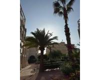 Alquiler a largo plazo - Apartamento - Torrevieja - Torreblanca