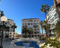 Alquiler a largo plazo - Apartamento - Torrevieja - Torrelamata - La Mata