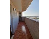 Alquiler a largo plazo - Apartamento - Torrevieja - torrevieja