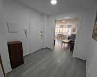 Alquiler a largo plazo - Apartamento - Torrevieja - torrevieja