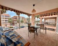 Alquiler a largo plazo - Apartamento - Torrevieja - torrevieja