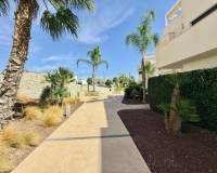 Alquiler a largo plazo - Bungalow - Pilar de la Horadada - Lo Romero Golf