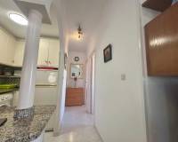 Alquiler a largo plazo - Bungalow - Torrevieja - Aguas Nuevas