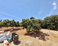 Alquiler a largo plazo - Chalet - Jávea - Montgó - Partida Tosal