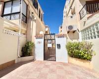 Alquiler a largo plazo - Duplex - Torrevieja - El Chaparral