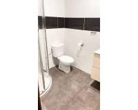 Alquiler a largo plazo - Estudio - Alicante - Centro