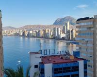 Alquiler a largo plazo - Estudio - Benidorm