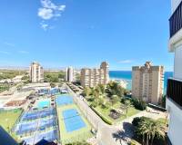 Alquiler a largo plazo - Estudio - Campoamor - Dehesa de campoamor