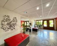 Alquiler a largo plazo - Estudio - Orihuela Costa - Dehesa de campoamor