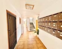 Alquiler a largo plazo - Estudio - San Pedro del Pinatar - Lo pagan