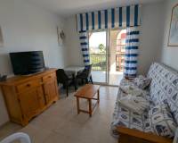 Alquiler a largo plazo - Estudio - Torrevieja - Centro