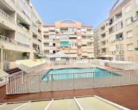 Alquiler a largo plazo - Estudio - Torrevieja - Centro