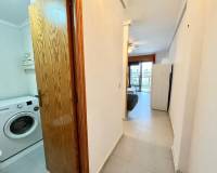 Alquiler a largo plazo - Estudio - Torrevieja - El Chaparral