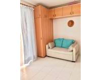 Alquiler a largo plazo - Estudio - Torrevieja - La Mata